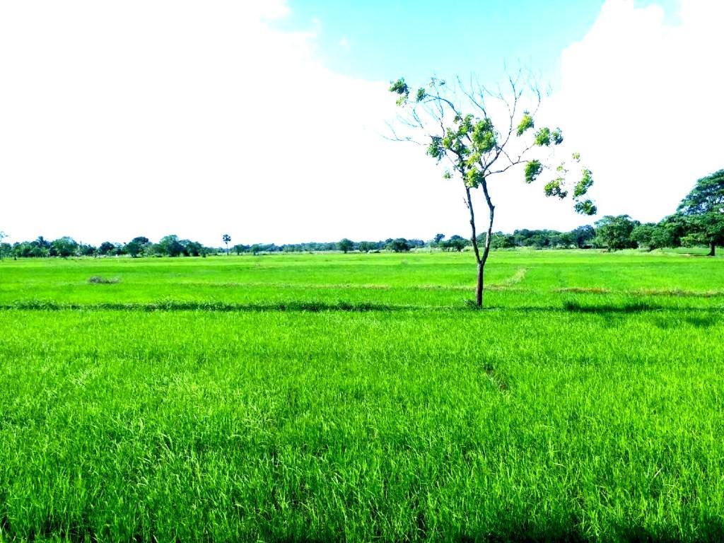 Athyantha Resort อนุราธปุระ ภายนอก รูปภาพ