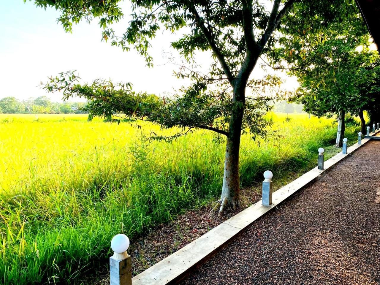 Athyantha Resort อนุราธปุระ ภายนอก รูปภาพ